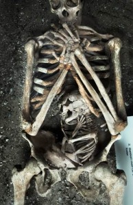 This picture is meant to give an idea of what the ladies and fetus bones may have looked like (not actual skeleton).